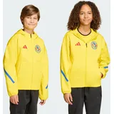 adidas Trikot 2024 gelb Kinder Gr. 164