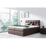 Fun Möbel Boxspringbett Schlafzimmerbett CARMEN 200x200cm Kunstleder Braun - Braun