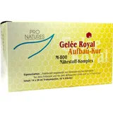 IMOPHARM pharm.Handelsges.mbH Gelee Royal Aufbaukur M800 Trinkampullen