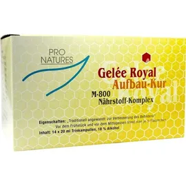 IMOPHARM pharm.Handelsges.mbH Gelee Royal Aufbaukur M800 Trinkampullen
