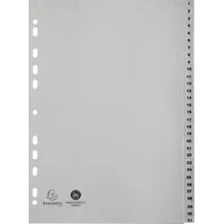 Exacompta 1931E, Grau, Polypropylen (PP), A4