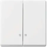 Busch-Jaeger Wippe 2505 K-914