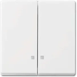 Busch-Jaeger Wippe 2505 K-914