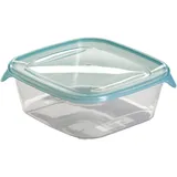 Curver FRESH&GO Kanister quadratisch, Polypropylen, durchsichtig/Blau, Blau, 0,8 l