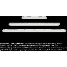 SpectrumLED Limea Gigant Pro 1 120 cm grau