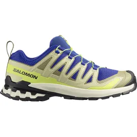Salomon XA Pro 3D V9 Herren Bluing Bog/Acid Lime 48