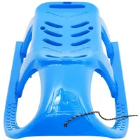 VidaXL Schlitten für Kinder Blau 102,5x40x23 cm Polypropylen