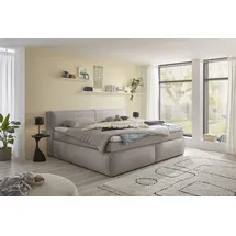 Stella Trading Boxspringbett – stone - H3/H4 - Microvelours - 180x200 cm