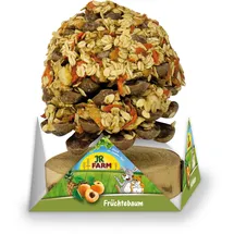 JR Farm Früchtebaum 270 g