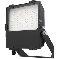 Dotlux LED-Fluter 4865-130065