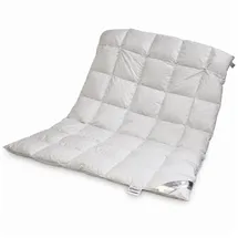 Betten Hofmann Bella-Night Daunen-Kassetten-Bett 5x7 155/220cm Ganzjahresdecke Daunenbett