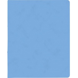 BRUNNEN Ringbuch aus Karton FACT! plus in A4 hellblau