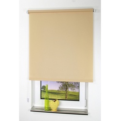 LIEDECO Seitenzug-Rollo, lichtdurchlässig, Polyester - beige