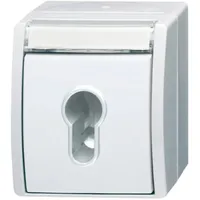 Busch-Jaeger Schlüsselschalter 2733 SLW-54