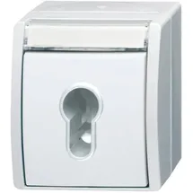 Busch-Jaeger Schlüsselschalter 2733 SLW-54