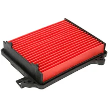 Hiflofiltro HFA1209 Luftfilter