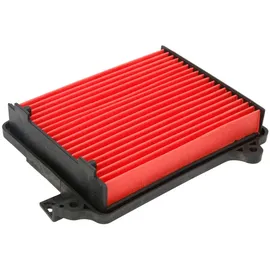 Hiflofiltro HFA1209 Luftfilter