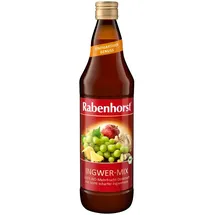 Rabenhorst Ingwer-Mix Bio