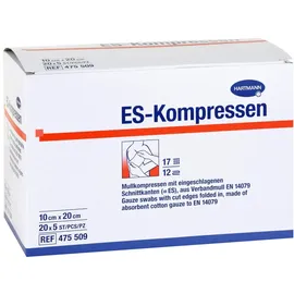 1001 Artikel Medical ES-KOMPRESSEN steril 10x20 cm