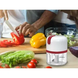 Beper wiederaufladbarer Mini-Zerkleinerer - 30 W