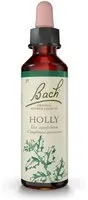 Fleurs de Bach® Original Holly N° 15 Goutte(S) 20 ml