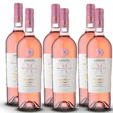 Latentia 90 Primitivo Rosato Puglia IGP, halbtrocken, sortenreines Weinpaket (6x