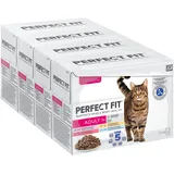 PERFECT FIT Adult 1+ Katzennassfutter Auswahl mit Lachs, Hochseefisch, Rind und Huhn, 48 Portionsbeutel, 12x85g (4er Pack) – Premium Katzenfutter nass, für erwachsene Katzen ab 1 Jahr