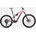 LEVO COMP ALLOY G4 DSKPNK/CYPRMET S6