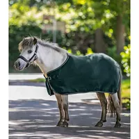Waldhausen Fleecedecke Economic grün 145 CM