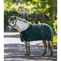 Waldhausen Fleecedecke Economic grün 145 CM