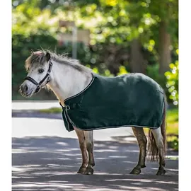 Waldhausen Fleecedecke Economic grün 145 CM