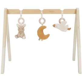 Little Dutch Baby Gym Newborn Naturals