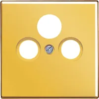 Jung Abdeckung für Universal-Sat/BK-Dosen, goldfarben (GO 2990 SAT)