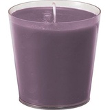 Duni Nachfülleinheit Switch&Shine, 6er Plum