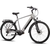 Saxonette Deluxe Sport 2022 28 Zoll RH 54 cm Herren silber