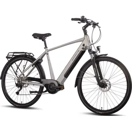 Saxonette Deluxe Sport 2022 28 Zoll RH 54 cm Herren silber