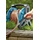 Gardena Comfort Flex Schlauch 13 mm 1/2" 20 m 18033-20