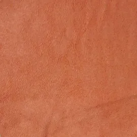 einrichtungsdesign24 Seniorenstuhl mit Armlehnen Alexander 1 St