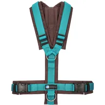 AnnyX Fun Hundegeschirr Braun/Petrol S