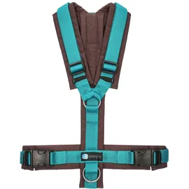 AnnyX Fun Hundegeschirr Braun/Petrol S