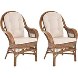 Set/2 Rattan Wintergartensessel Finco hohe Rückenlehne mit Armlehne (Hellbraun)