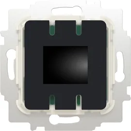Busch-Jaeger 62841 U-WL Raumtemperaturregler