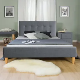 Homestyle4u Polsterbett 180 x 200 cm Grau