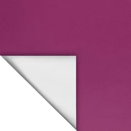 Lichtblick Thermo-Rollo Klemmfix 75 x 150 cm fuchsia