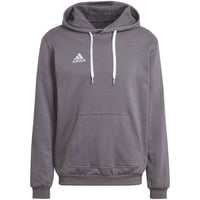 Adidas Entrada 22 Sweat Hoodie L