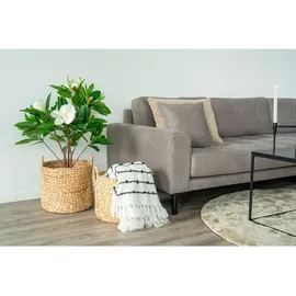 Korbset Passo Basket Hellbraun