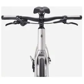 Trek FX 3 2027 28 Zoll RH 53 cm grau/silber