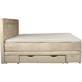 Home Affaire Boxspringbett HOME AFFAIRE "Julien", beige (cream), B:161cm L:210cm, 100% Polyester, Komplettbetten, Boxspringbett, mit Taschenfederkernmatratze