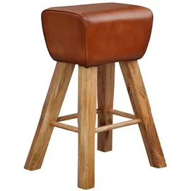 FineBuy Barhocker Turnbock Leder 43 x 75 x 43 cm Braun mit Hocker