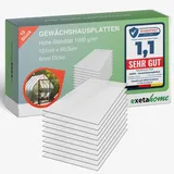 Exeta Gewächshausplatten 6 mm I Polycarbonat Hohlkammerplatten für Gewächshäuser I PC Doppelstegplatten UV-beständig & bruchsicher I ideal für Garten, Frühbeet & Carport I 10 Stk. I Transparent